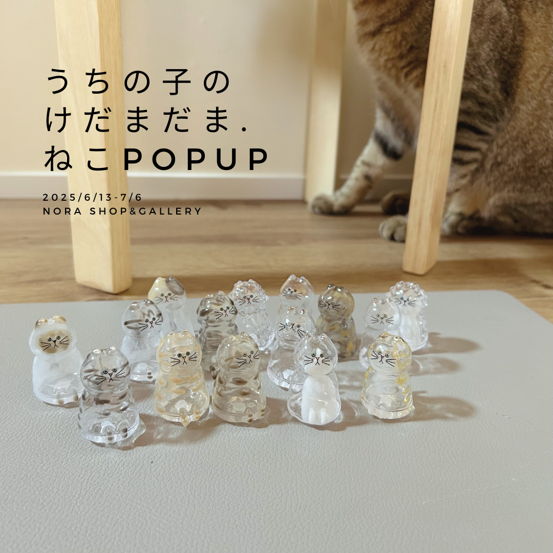 うちの子のけだまだま うちの子のけだまだま